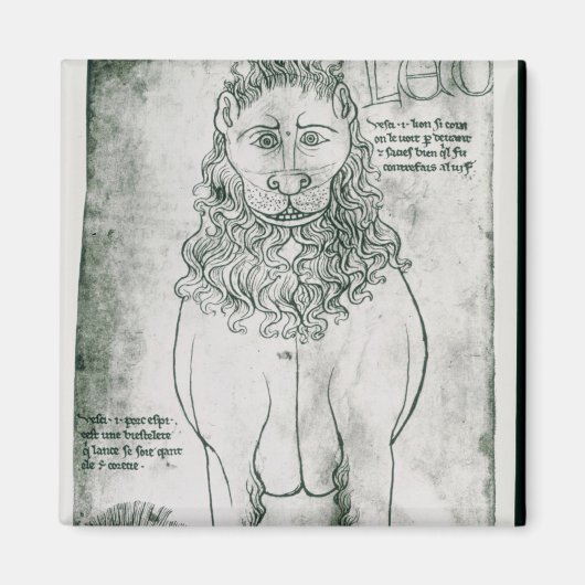 Frau Fr 19093 fol.24v Lion und Porcupine Magnet (Vorne)