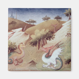 Frau Fr 2810 f.55v Drachen und andere Tiere Magnet