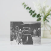 Frau füttert Bären. Postkarte (Stehend Vorderseite)