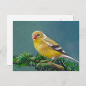 Frau Goldfinch Bird Art Postcard Postkarte (Vorne/Hinten)