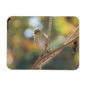 Frau Goldfinch Magnet (Horizontal)