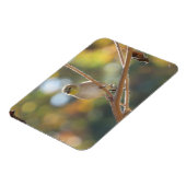 Frau Goldfinch Magnet (Linke Seite)