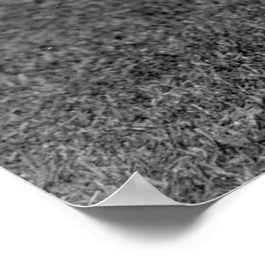 Frau Golfer, 1910er Poster (Ecke)