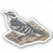 Frau Hairy Woodpecker Sticker (Vorderseite)