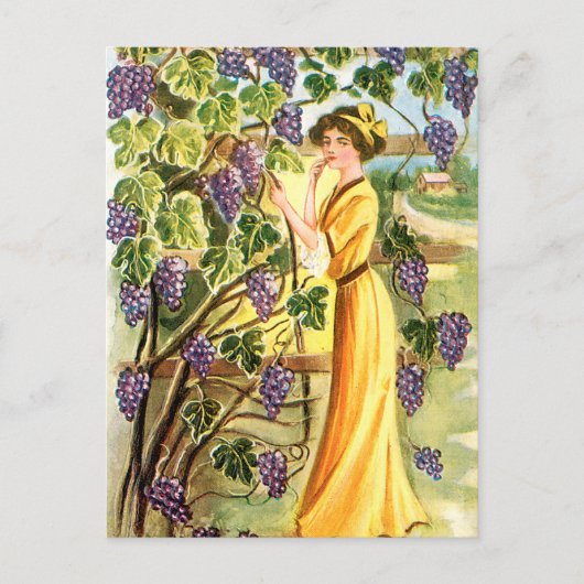 Frau im Weinberg Postkarte (Vorderseite)