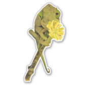 Frau Jackson's Chameleon Aufkleber (Vorderseite)