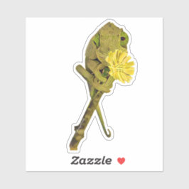 Frau Jacksons Chameleon-Sticker Aufkleber
