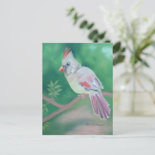 Frau Kardinal Postkarte (Stehend Vorderseite)