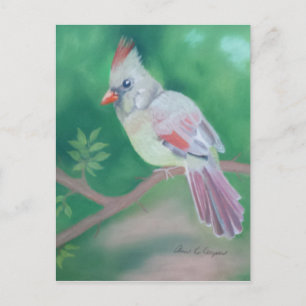 Frau Kardinal Postkarte