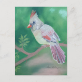 Frau Kardinal Postkarte