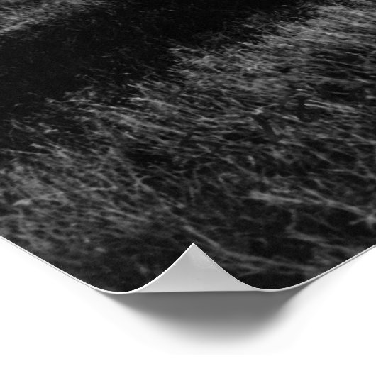 Frau Katherine Stinson und ihr Flugzeug von Curtis Poster (Ecke)