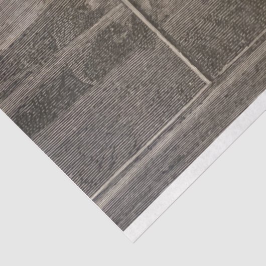 Frau lesen in den 1880er Jahren Seidenpapier (Ausschnitt)