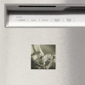 Frau liest Zeitschrift Magnet (In Situ (Geschirrspüler))