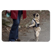 Frau Magnet (Horizontal)