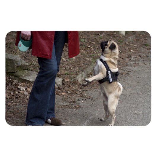 Frau Magnet (Horizontal)