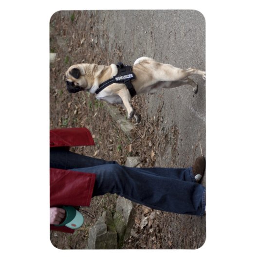 Frau Magnet (Vertikal)