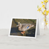 Frau Mallard Duck Karte (Gelbe Blume)