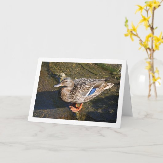 Frau Mallard Duck Karte (Gelbe Blume)