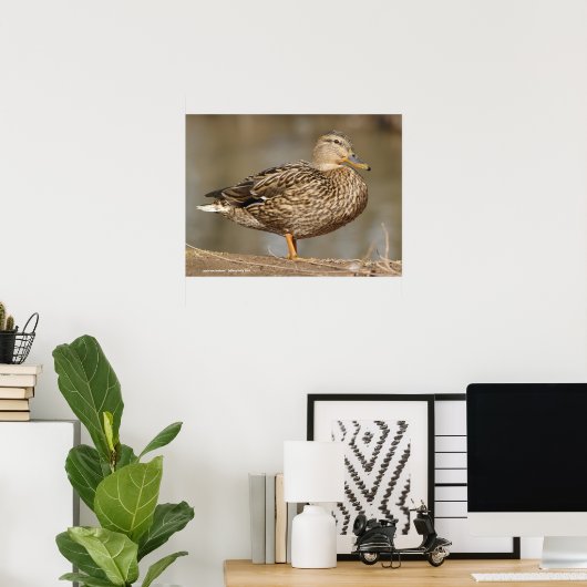 Frau Mallard Duck Poster (Heimbüro)