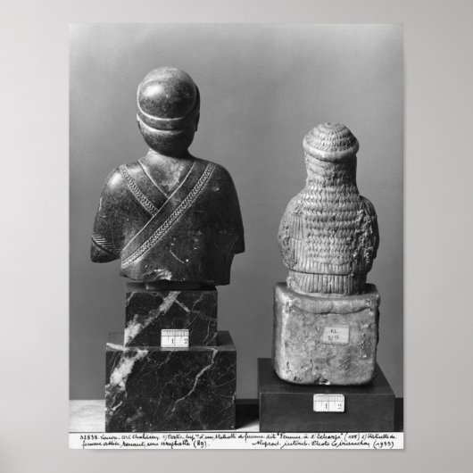 Frau mit dem Schal Poster (Vorne)