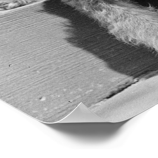 Frau mit Hund, 1920er Poster (Ecke)