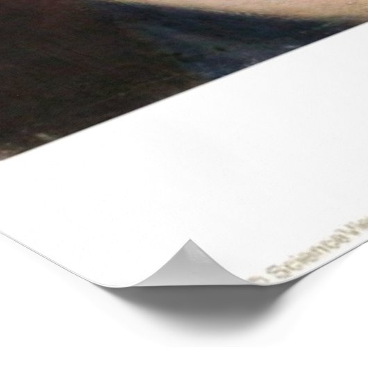 Frau mit Katze Poster (Ecke)