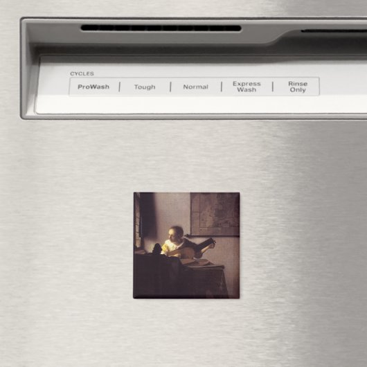 Frau mit Lute Magnet (In Situ (Geschirrspüler))