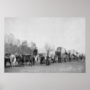Frau mit Ox Train hält ein whip-Foto Poster