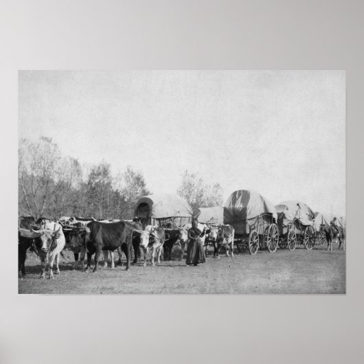 Frau mit Ox Train hält ein whip-Foto Poster (Vorne)