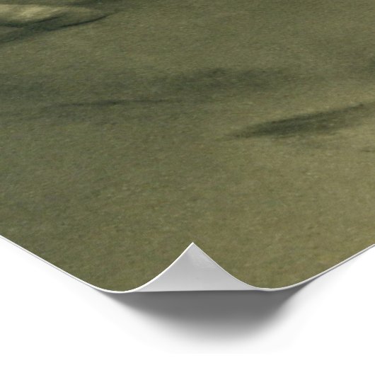 Frau mit weißem Pferd. Poster (Ecke)