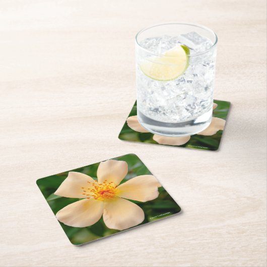 Frau Oakley Fisher Rose Rechteckiger Pappuntersetzer (Vor Ort)