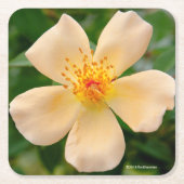 Frau Oakley Fisher Rose Rechteckiger Pappuntersetzer (Vorderseite)