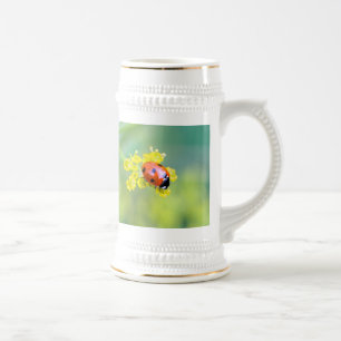 Frau oben bierglas