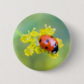 Frau oben button (Vorderseite)