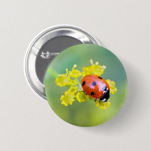 Frau oben button (Vorne & Hinten)