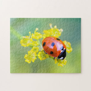 Frau oben puzzle
