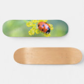 Frau oben skateboard (Horizontal)