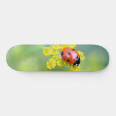 Frau oben skateboard (Horizontal)
