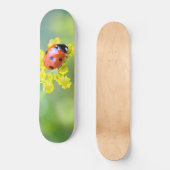 Frau oben skateboard (Vorderseite)