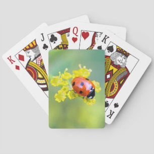 Frau oben spielkarten