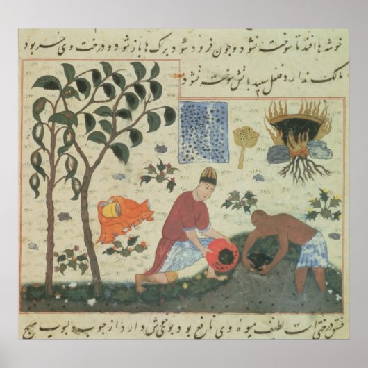 Frau Pers 332 Pfefferbaum und Pfeffer zubereiten Poster (Vorne)