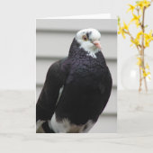 Frau Pigeon Karte (Gelbe Blume)