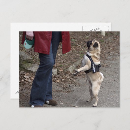 Frau Postkarte (Vorne/Hinten)