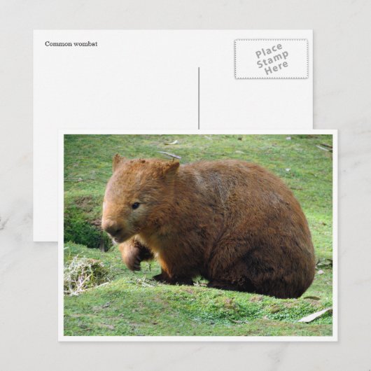 Frau Postkarte (Vorne/Hinten)