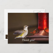Frau Ruby-throated Hummingbird Danke Postkarte (Vorne/Hinten)