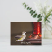 Frau Ruby-throated Hummingbird Danke Postkarte (Stehend Vorderseite)