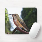 Frau Rufous Hummingbird - Mousepad (Mit Mouse)