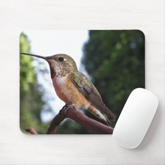 Frau Rufous Hummingbird - Mousepad (Mit Mouse)
