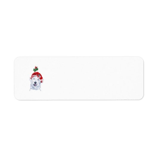 Frau Santa Labradoodle (Vorne)
