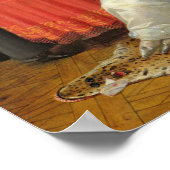 Frau schreibt einen Brief Poster (Ecke)